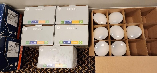 Assorted Flood Light Bulbs