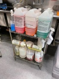 Cleaners and Disinfectants on NSF Chrome Dunnage Rack