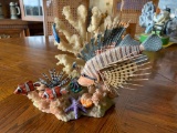 Coral Fish Display