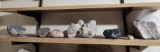 Shelf of Rocks and Crystals