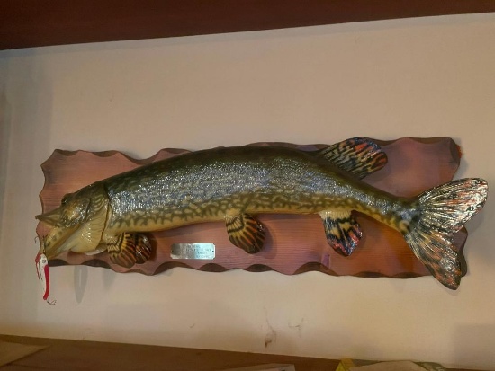 Mounted Northern Pike, 10lb 4oz, w/ Plaque, c. 1982
