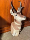 Antelope Mount