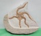 Fossilized star fish relative - see pictures