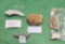 Seven various fossils - including Horn Coral, Patagonian Stones, fossil shell and others