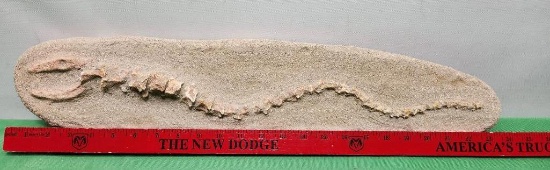 Fossilized sea serpent