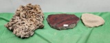 Three assorted fossils and rocks