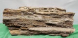 Fossilized wood