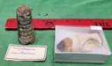 Two pieces - Orthoceras from Morocco and one other fossil - see pictures