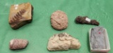Six various fossils - see pictures