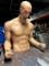 Male Half Body Mannequin