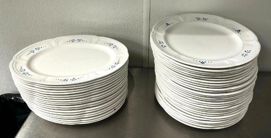 18 Oval & 28 Large Round Plates & Platters, White w/ Blue Designs, Steelite 2016