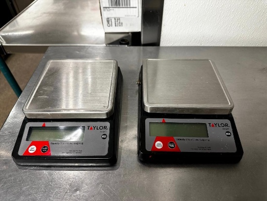 Lot of 2 Taylor TE10FT Food Scales