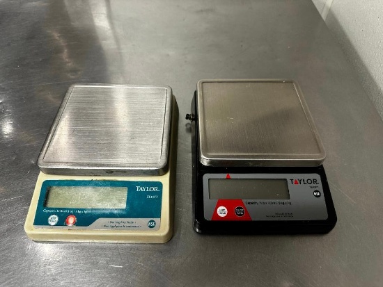 Lot of 2 Taylor TE10FT Food Scales