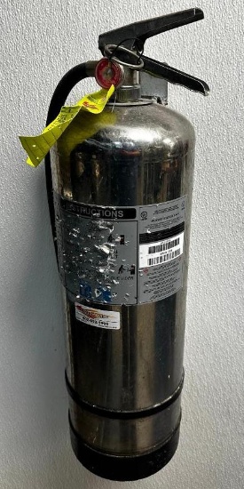 Buckeye Stainless Steel WC2.5 Kitchen Fire Extinguisher
