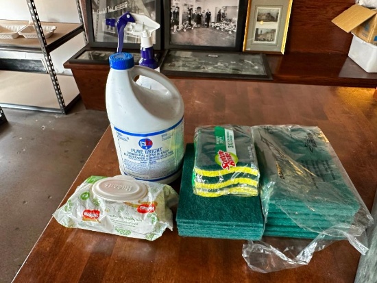 Scotch-Brite Cleaning Pads, Wipes, Near Full Bottle Bleach