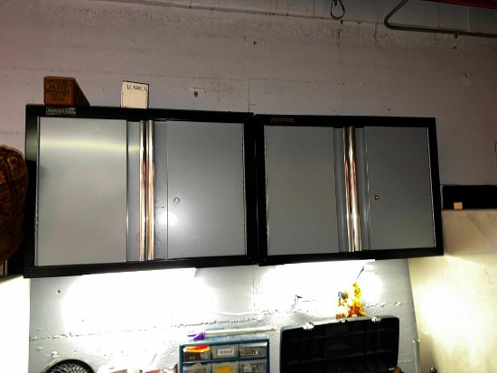 Two Wall-Mount Garage Cabinets