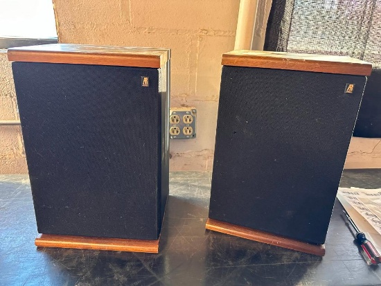 Vintage Speakers: AR Acoustic Research TSW 110