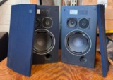Vintage Speakers: JBL Model L36, In Need of Restoration