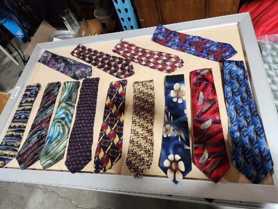 Lot of 13 Assorted Design Neck Ties