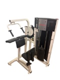 Life Fitness Triceps Extension Machine - Club Series