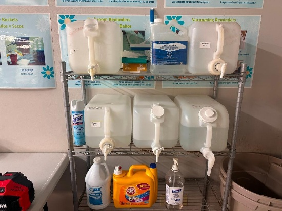 Partially Full and Empty Cleaning Products, See Images for Details