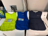 3 Maid Brigade Aprons and Masks
