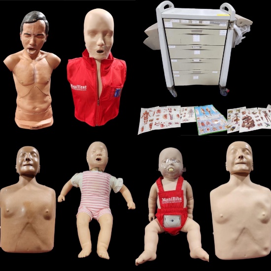 The Auction Mill Auction Catalog Nurse & Medical Training Equipment