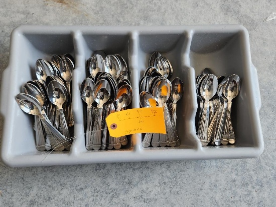 Caddy Full of 201 Spoons