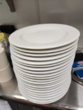 22 Qty. 9in Round Plates, Alani Bangladesh 020182 (Retail: $158.00)