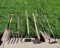 Lot of 6 Gardening Tools & Axe