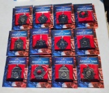 (12) American Spirit Collection State Quarter Ornaments - 2 Missing Quarters