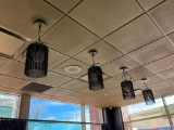 Lot of 4 Pendant Lights