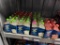 7 Packs of Cayman Jack 6-Bottles