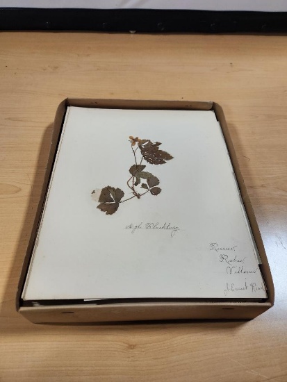 Garden and Plant Vintage Scrapbook