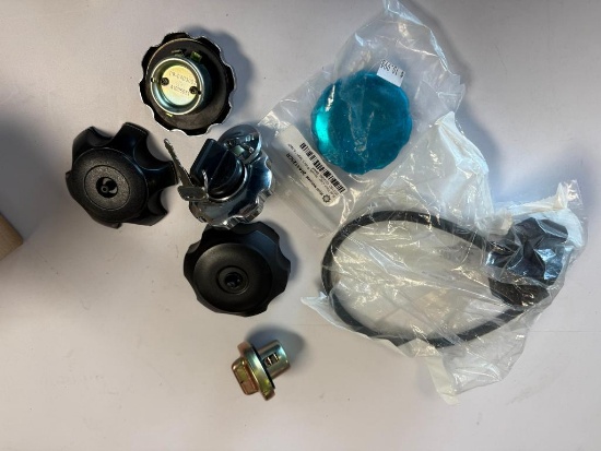 NEW Box of Gas Caps