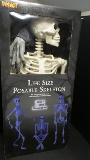 60 Inch Skeleton,2 RIP Foam Displays 7 A pop up Coffin | Art, Antiques ...