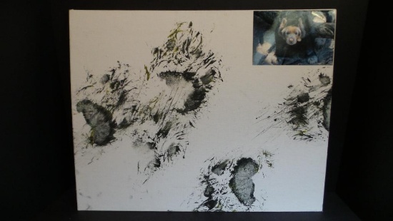 Bear Painting- Henry Doorly Zoo fundraiser