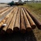 7 EACH. POWER POLES, MISC SIZES, APPRX 31 FEET