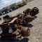 3 EACH. LIFT AXLES