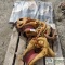 2 PALLETS. 5 EA SHEAVES, MISC BUCKET TEETH