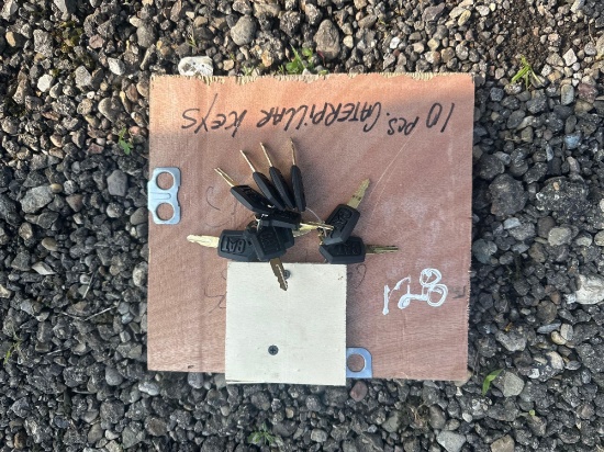 NEW (10) CATERPILLAR KEYS NEW SUPPORT EQUIPMENT