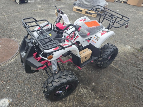 125 CC ATV 4 STROKE W/ ELEC START, REMOTE CONTROL SPEED LIMITER / KILL SWITCH RECREATIONAL VEHICLE