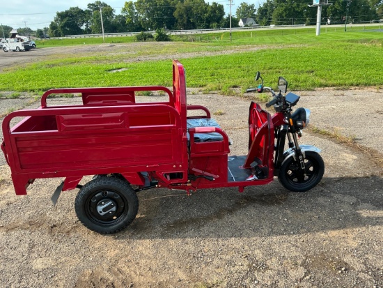 NEW SDLANCH ET13 ELECTRIC TRICYCLE RECREATIONAL VEHICLE