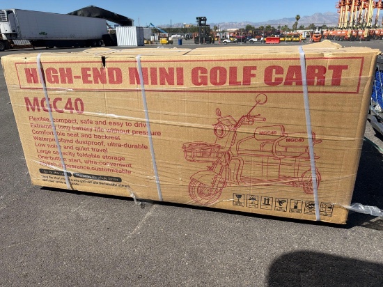 New Sdlanch Mgc40 Electric Tricycle Recreational Vehicle