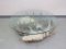 Moose Antler Glass Top Table-