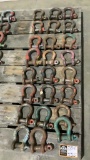 (qty - 24) Shackles-