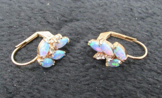 Pair of Opal Earrings-