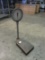 Detecto 300lb Scale-