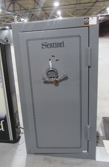 Sentinel Safe-