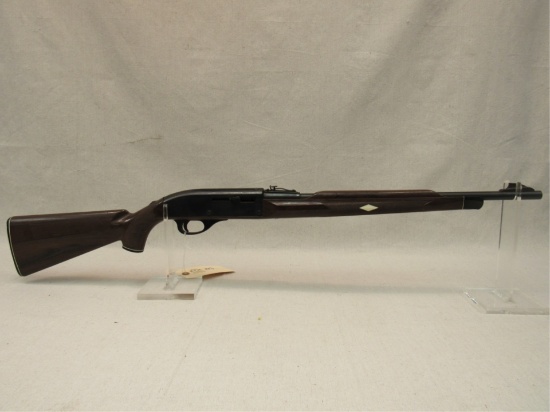Remington Nylon 66 .22LR-